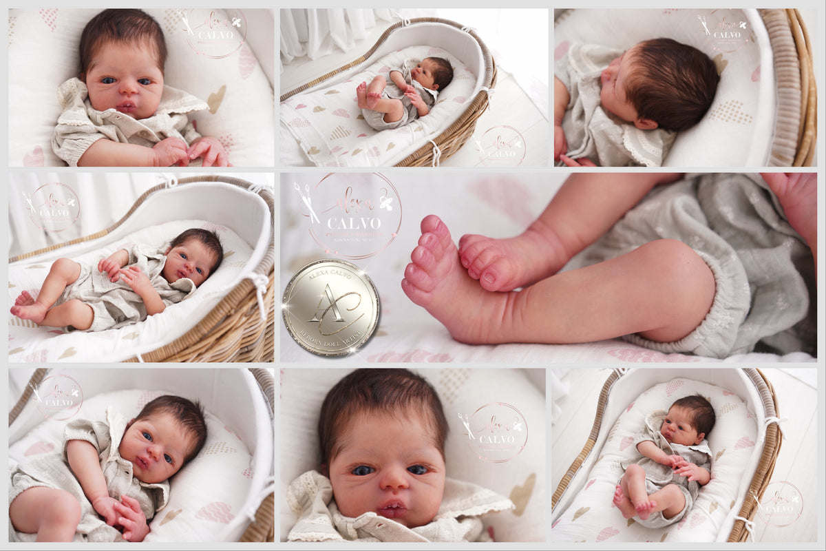 One-of-a-kind artist doll - not a toy. Baby Swan - Prototype - sculpt by Nathalie Moiselet, Artist: Alexa Calvo