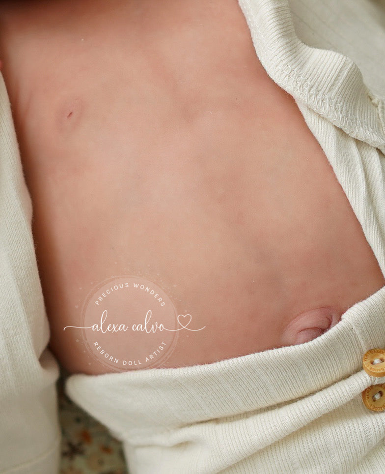 Additional Belly Plate