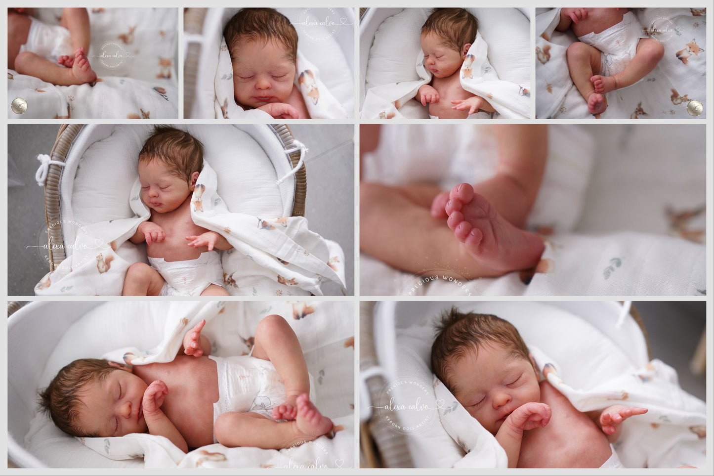 Baby Avalynn - Prototype by Sabine Altenkirch, Reborn by Alexa Calvo