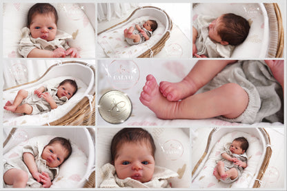 One-of-a-kind artist doll - not a toy. Baby Swan - Prototype - sculpt by Nathalie Moiselet, Artist: Alexa Calvo