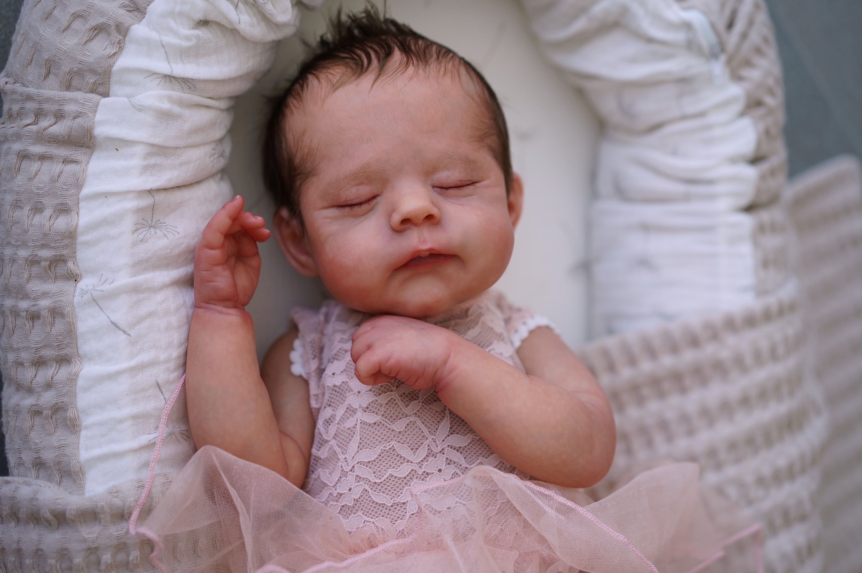 Reborn Babies Alexa Calvo