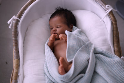 Baby Quinbee - sculpt by Laura Lee Eagles, Reborn by Alexa Calvo