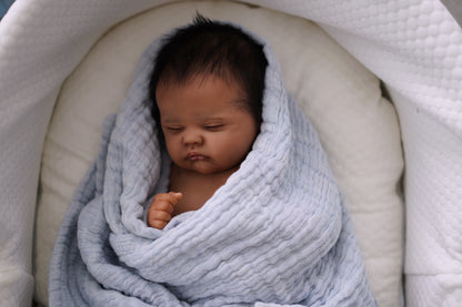 Baby Quinbee - sculpt by Laura Lee Eagles, Reborn by Alexa Calvo
