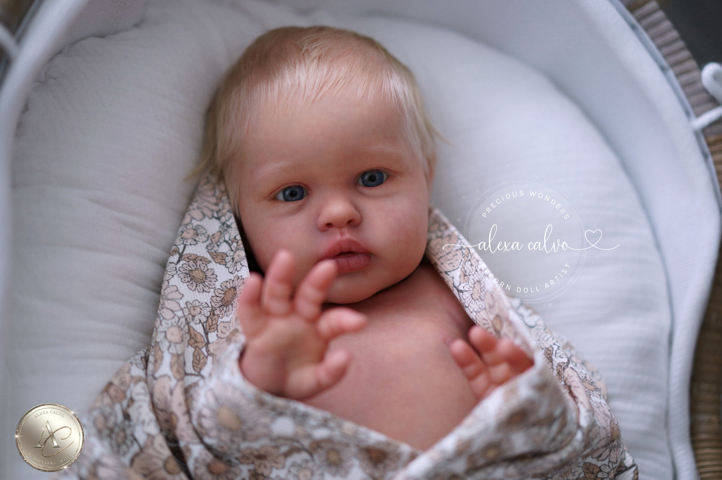 Baby Ellie  - Prototype by Irina Kaplanskaya, Reborn by Alexa Calvo