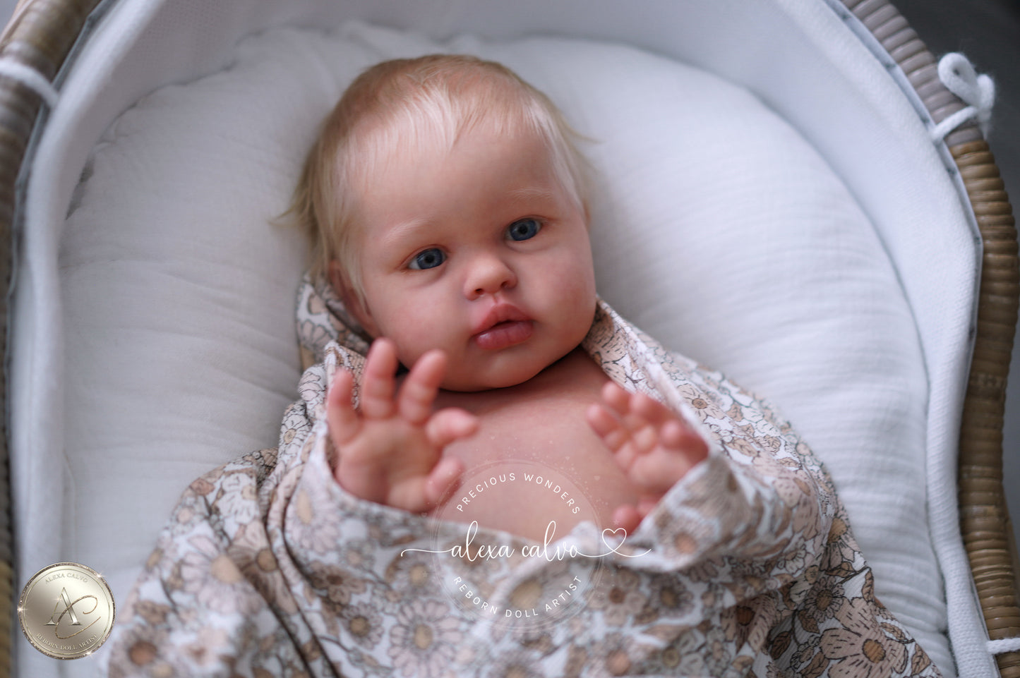 Baby Ellie  - Prototype by Irina Kaplanskaya, Reborn by Alexa Calvo