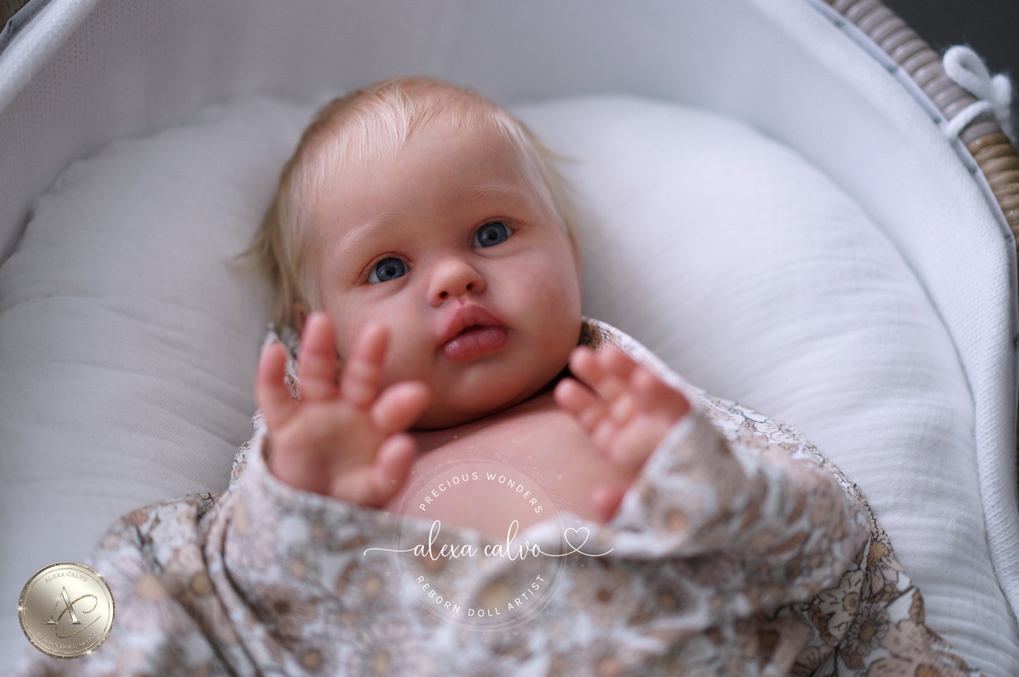 Baby Ellie  - Prototype by Irina Kaplanskaya, Reborn by Alexa Calvo