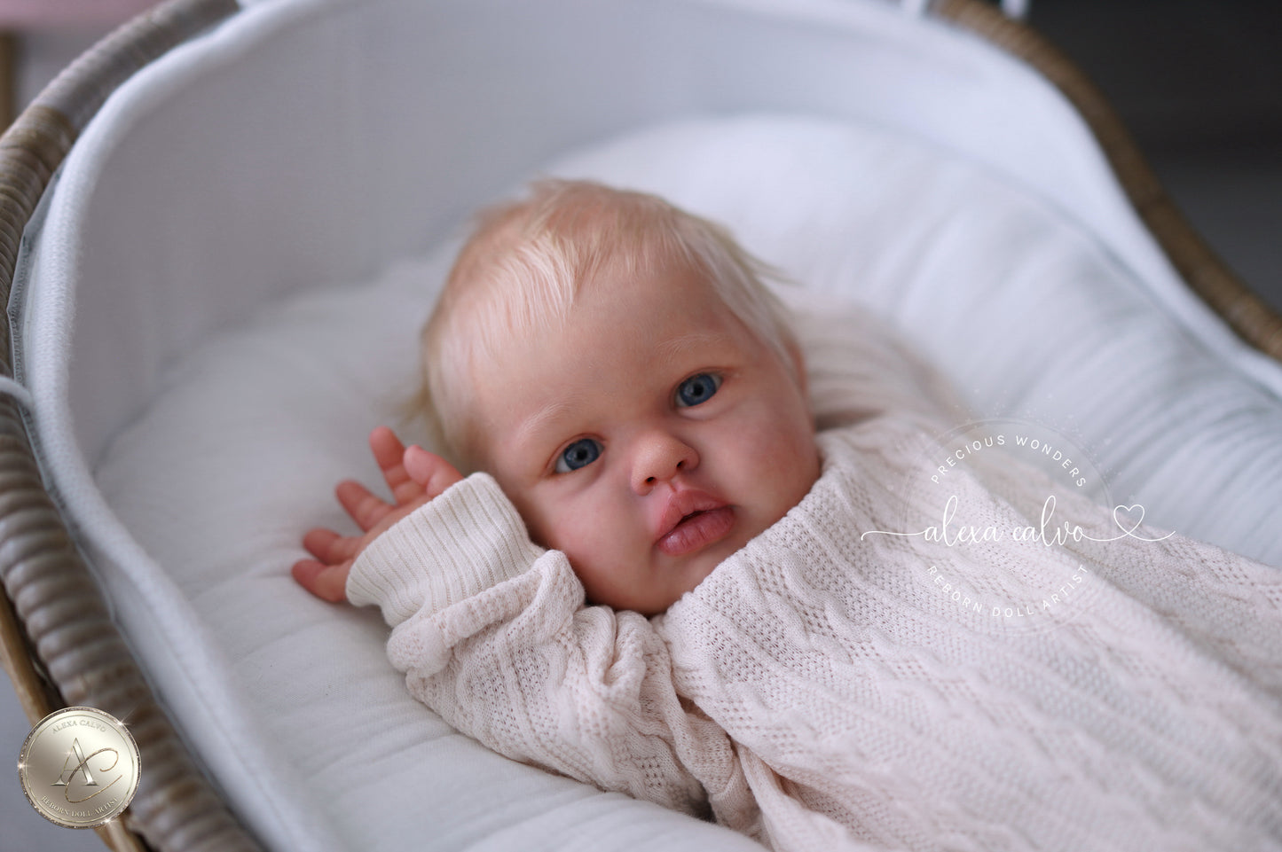 Baby Ellie  - Prototype by Irina Kaplanskaya, Reborn by Alexa Calvo