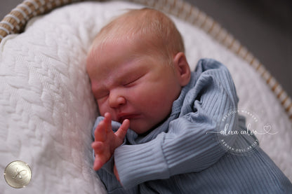 Baby Zachary - Prototype by Lisa Stone, Reborn by Alexa Calvo