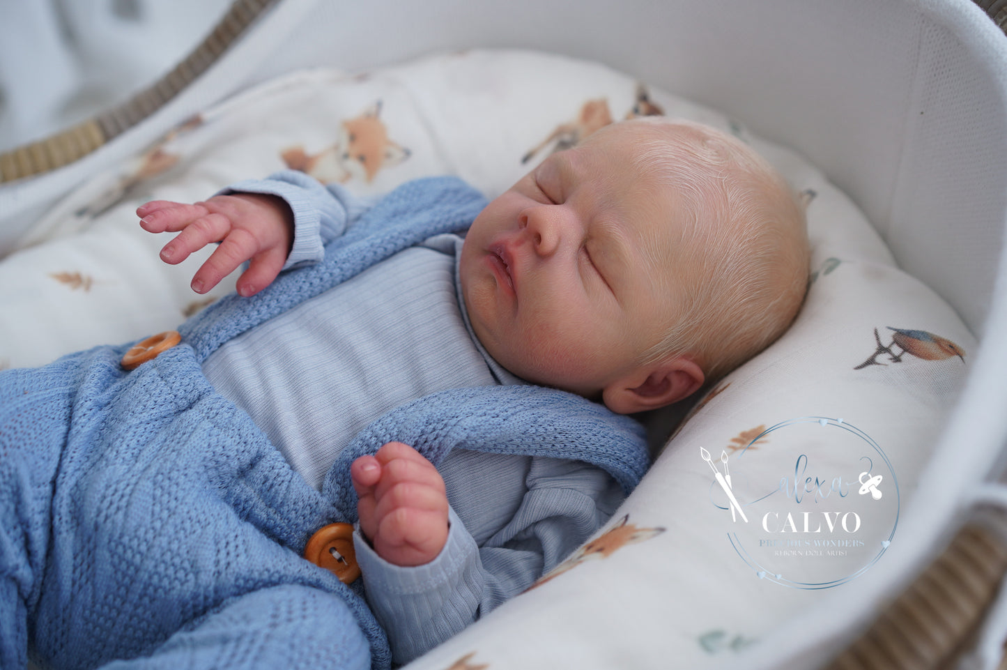 One-of-a-kind artist doll - not a toy. Baby Miguel - Prototype - sculpt by Samantha L. Gregory, Artist: Alexa Calvo