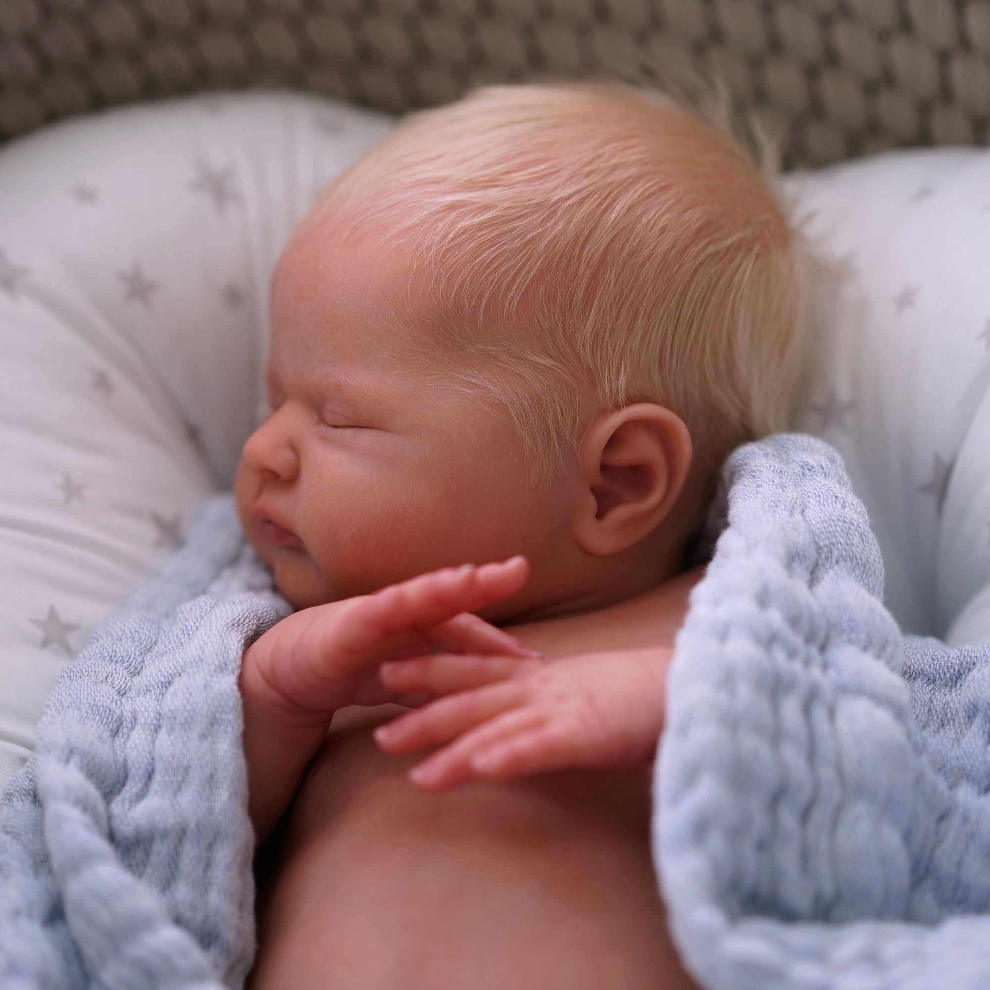 Max reborn hotsell